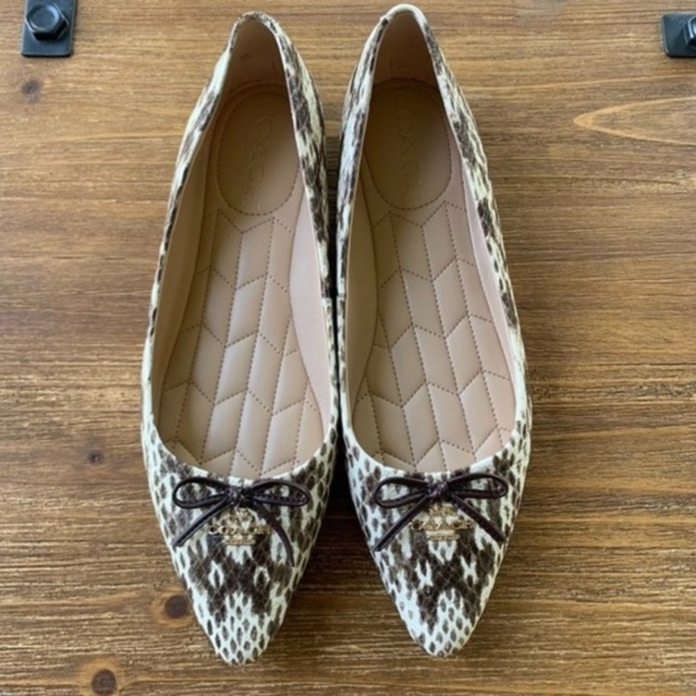 Coach Annabel Snake Print Pointed Toe Ballet Flats Sz 6.5 New! - Picture 6 of 13